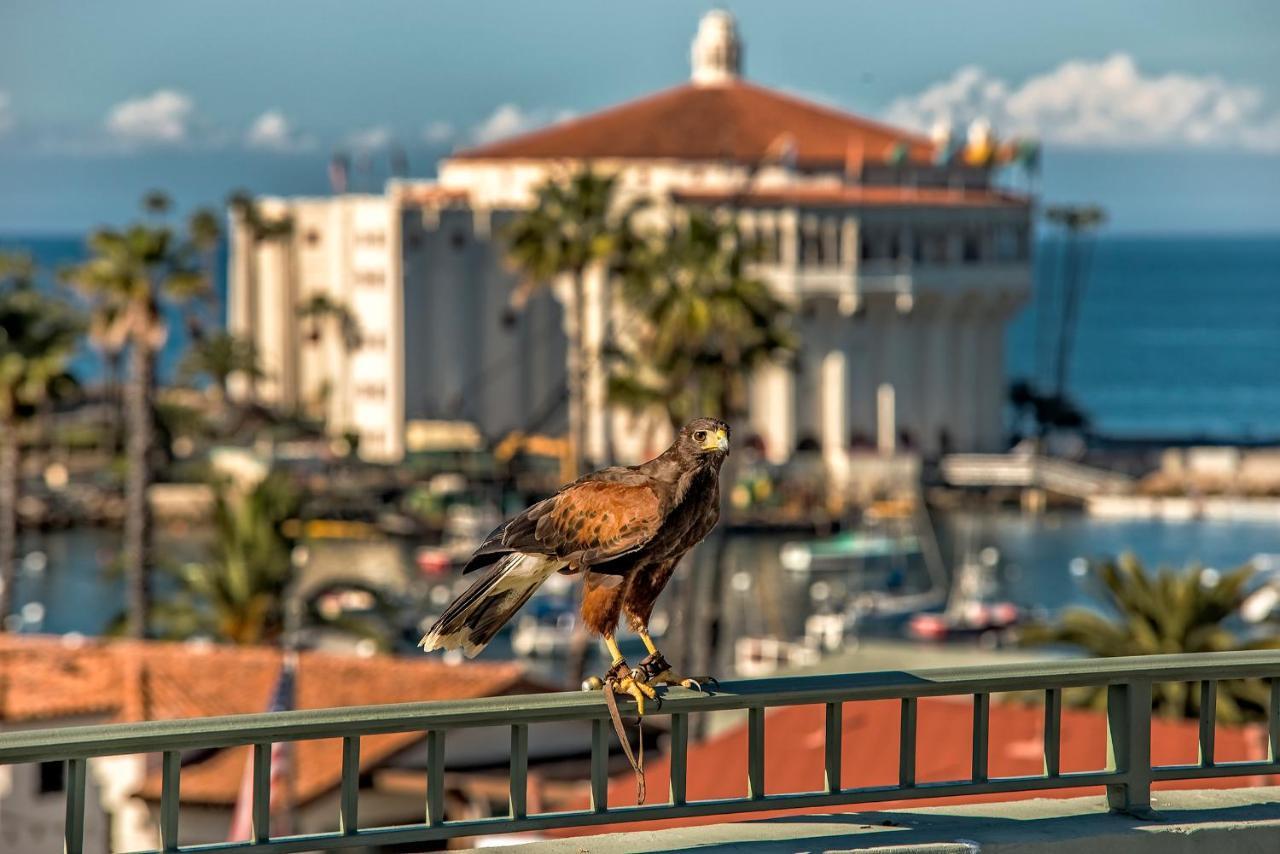 The Avalon Hotel In Catalina Island Kültér fotó